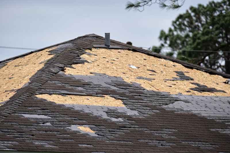 Damaged Roof Repair detail
